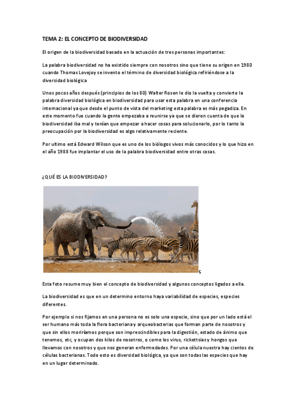 Miniatura del documento Tema-2.pdf