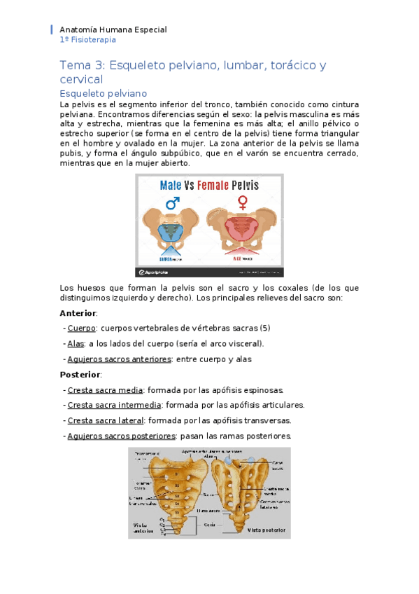 Miniatura del documento APUNTES-tema-3.docx