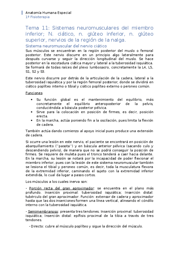 Miniatura del documento APUNTES-tema-11.docx