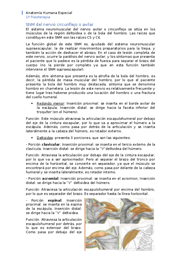 Miniatura del documento APUNTES-tema-20-axilar.docx