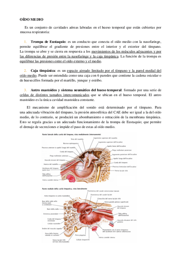 Miniatura del documento Oido-medio.pdf