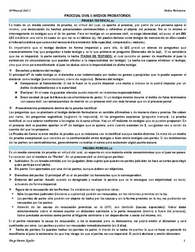 Miniatura del documento MEDIOS PROBATORIOS.pdf