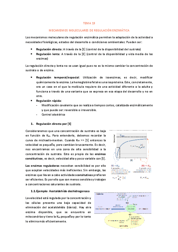 Miniatura del documento TEMA-19.pdf