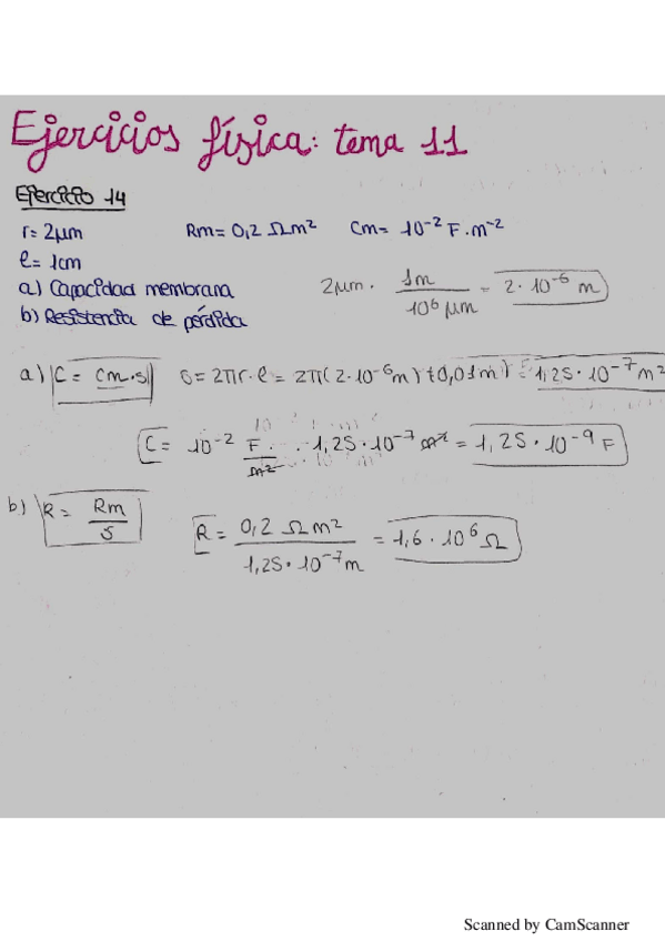 Miniatura del documento Fisica-Tema-11.pdf