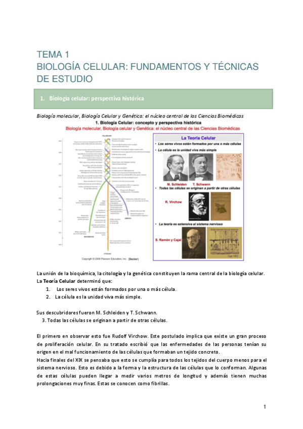 Miniatura del documento TEMA-1-ORGANIZACION-CELULAR.pdf