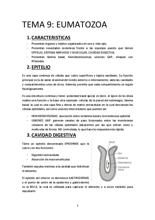 Miniatura del documento TEMA-9-EUMATOZOA.pdf