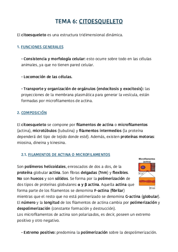 Miniatura del documento TEMA-6.pdf