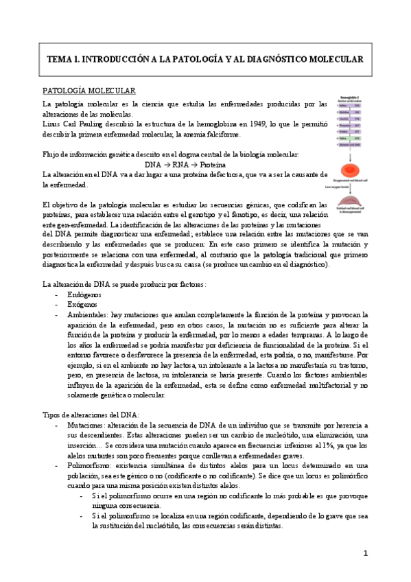 Miniatura del documento TEMA-1-DIAGNOSTICO-MOLECULAR.pdf