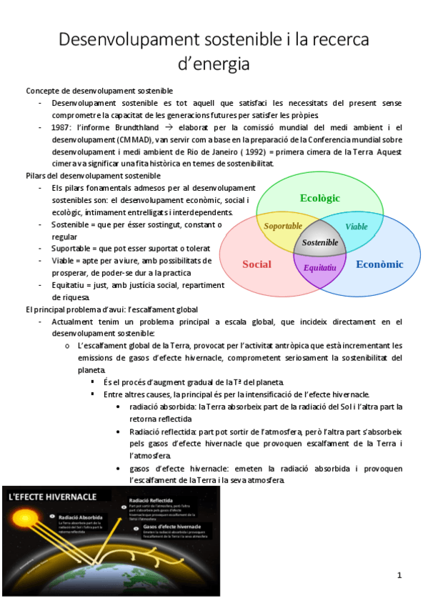 Miniatura del documento Desenvolupament-sostenible-i-la-recerca-denergia.pdf