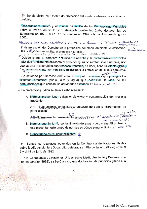 Miniatura del documento P1.pdf