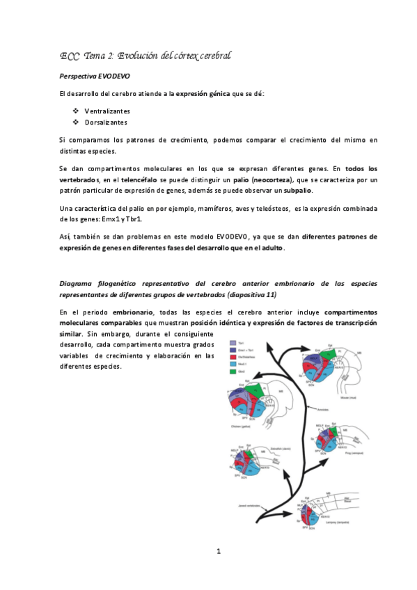 Miniatura del documento Tema-2-Paco-ECC.pdf