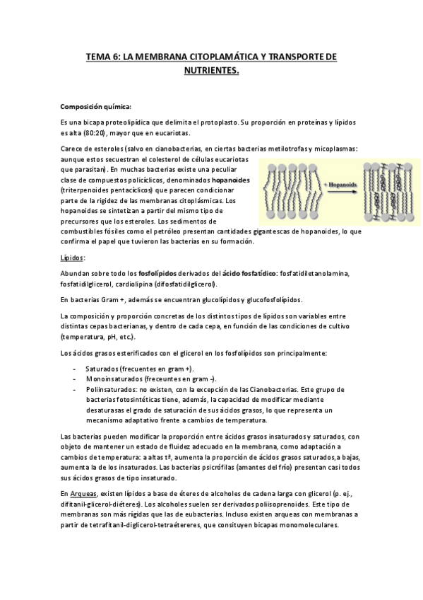 Miniatura del documento TEMA-6.pdf