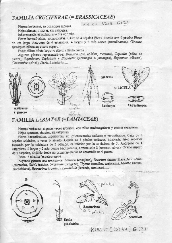 Miniatura del documento Practicas de Laboratorio con Formulas Florales.PDF