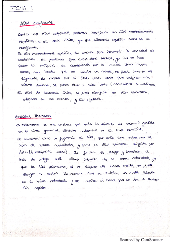 Miniatura del documento PreguntasFrecuentesExamen.pdf