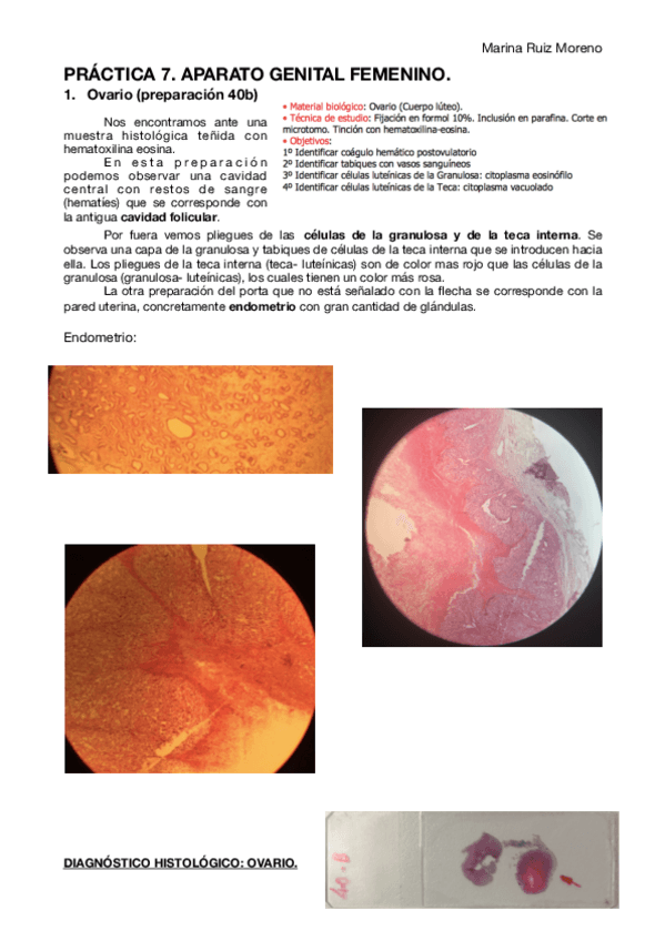 Miniatura del documento PRACTICA-7.pdf