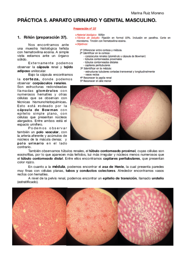 Miniatura del documento PRACTICA-6.pdf