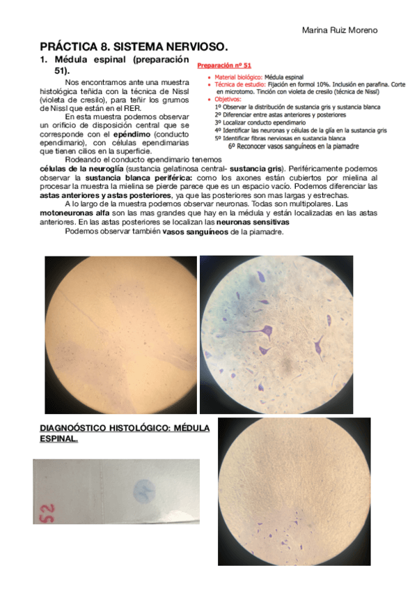 Miniatura del documento PRACTICA-8.pdf