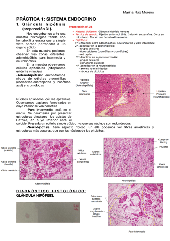 Miniatura del documento PRACTICA-2.pdf