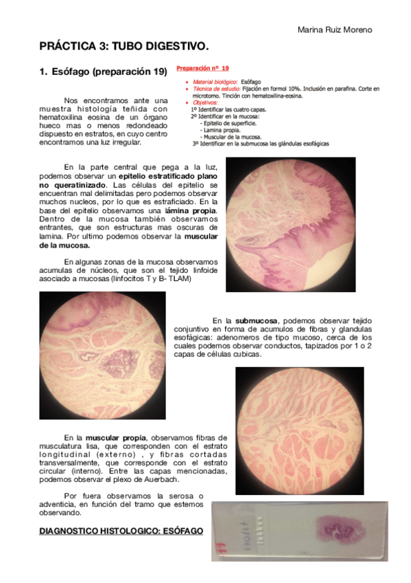 Miniatura del documento PRACTICA-3.pdf