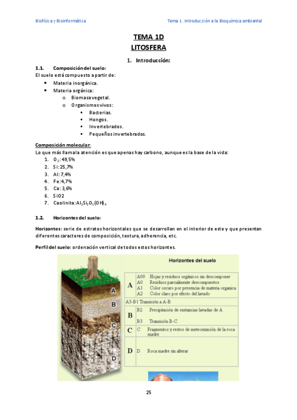 Miniatura del documento T1D.pdf