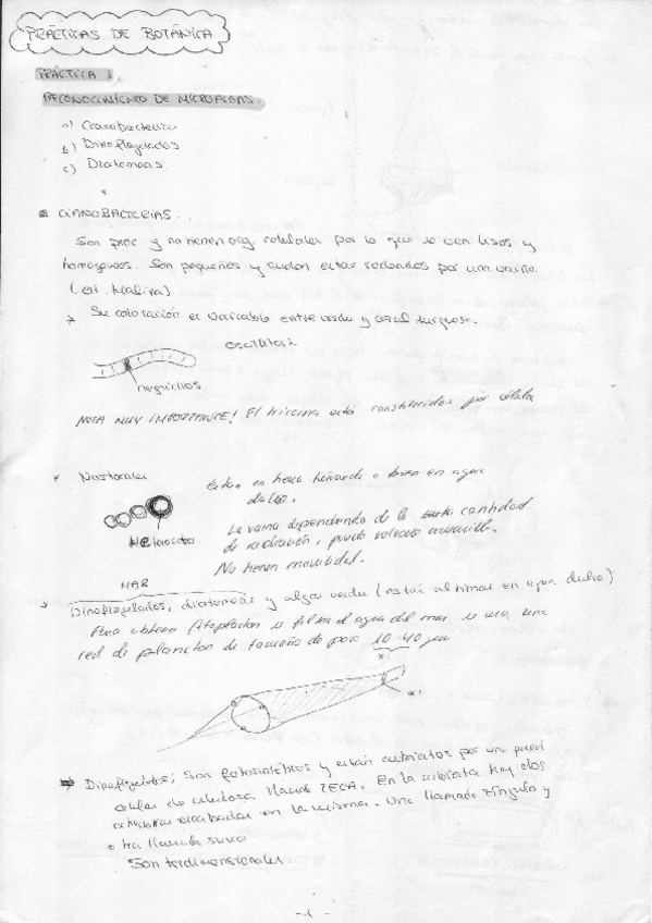 Miniatura del documento Botanica Criptogamica - Practicas de Laboratorio.PDF