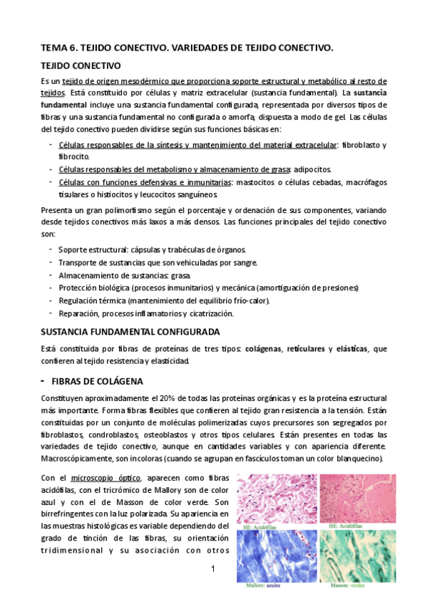 Miniatura del documento TEMA-6.pdf
