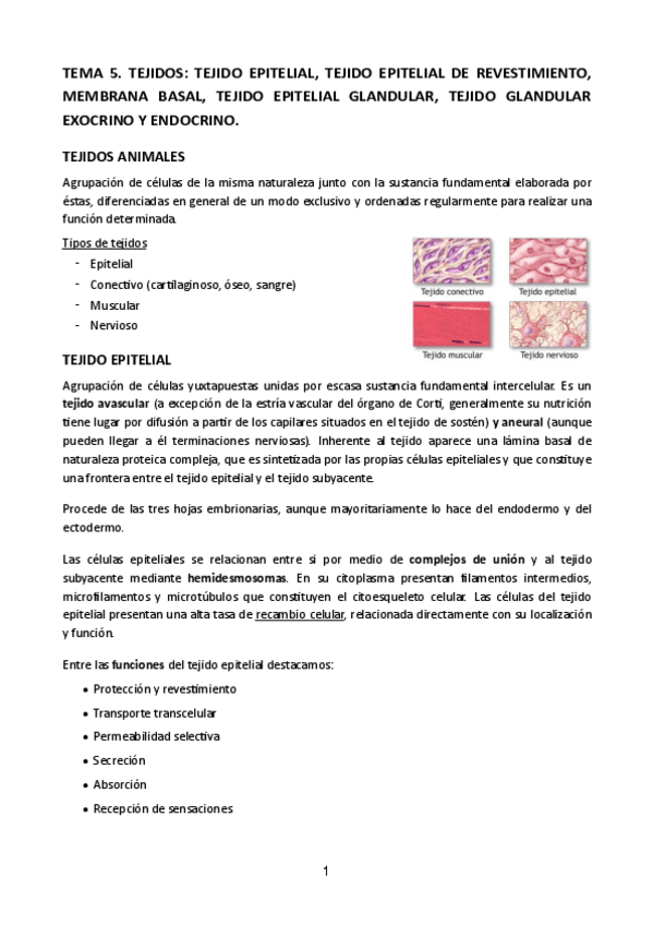 Miniatura del documento Tema-5-Histologia-Mac.pdf