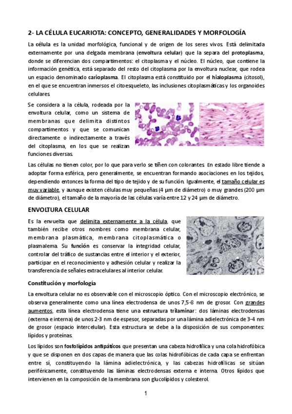 Miniatura del documento Tema-2.pdf