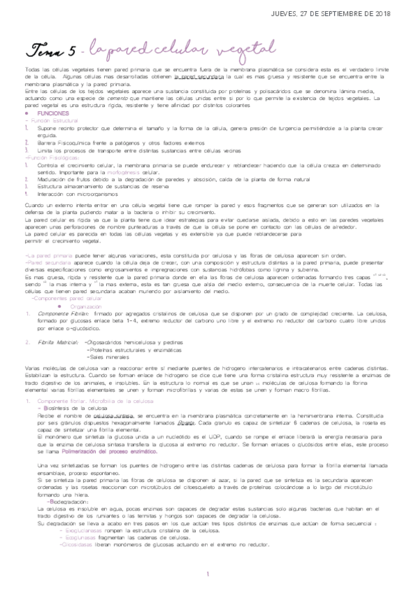 Miniatura del documento 5.pdf