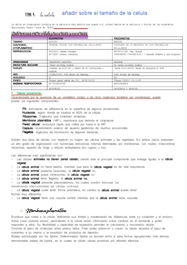 Miniatura del documento Tema-4.pdf