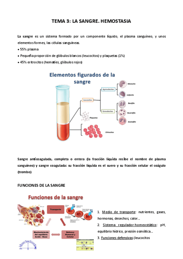 Miniatura del documento Tema-3-Fisiologia.pdf