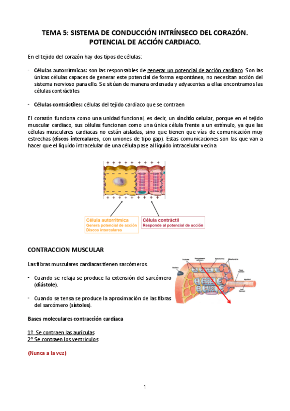 Miniatura del documento Tema-5.pdf