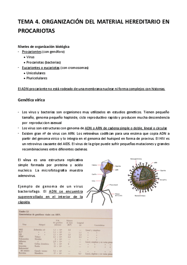 Miniatura del documento Tema-4-Genetica.pdf