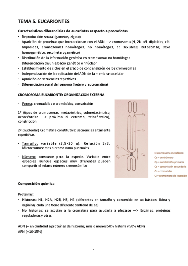 Miniatura del documento Tema-5.pdf
