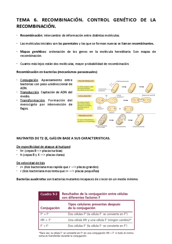 Miniatura del documento Tema-6-genetica.pdf