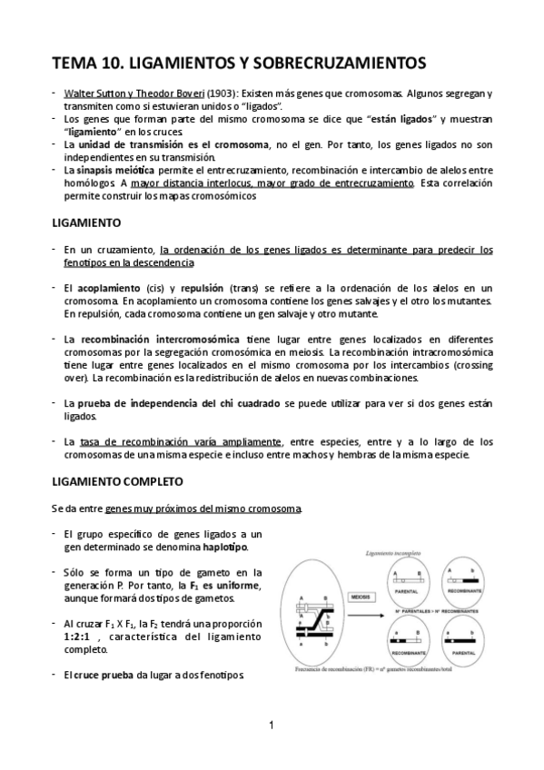 Miniatura del documento Tema-10.pdf