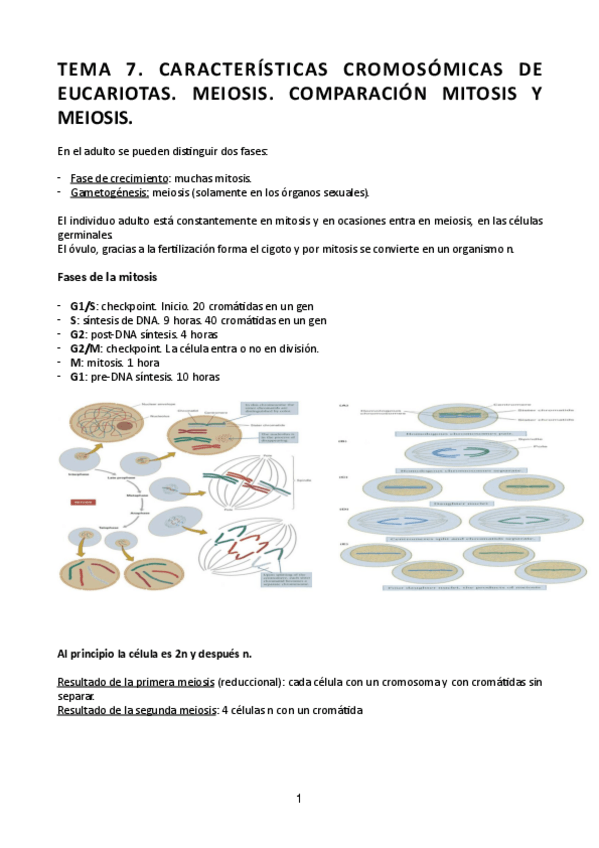 Miniatura del documento Tema-7.pdf