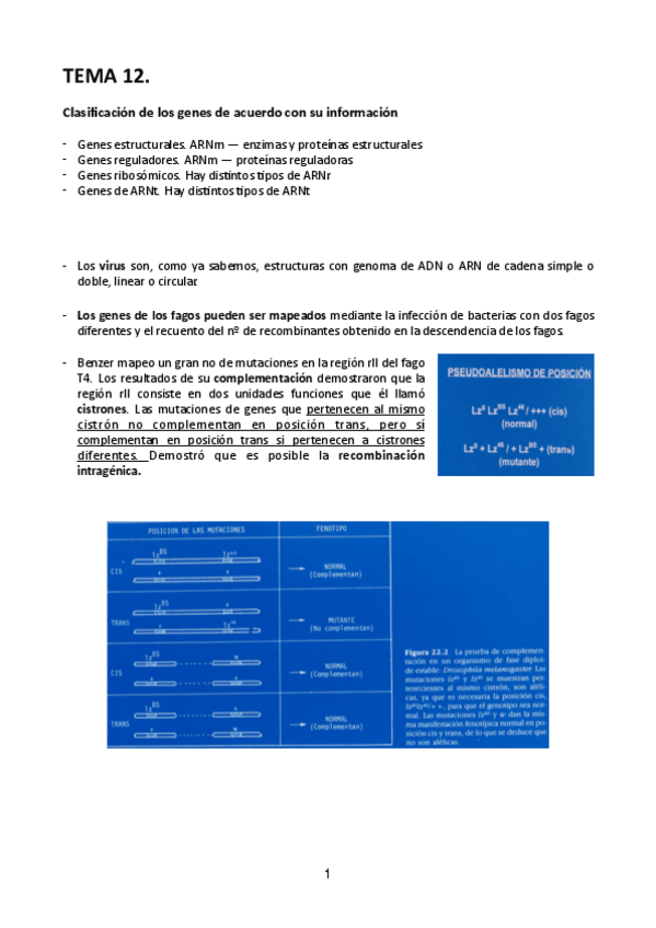 Miniatura del documento Tema-12.pdf