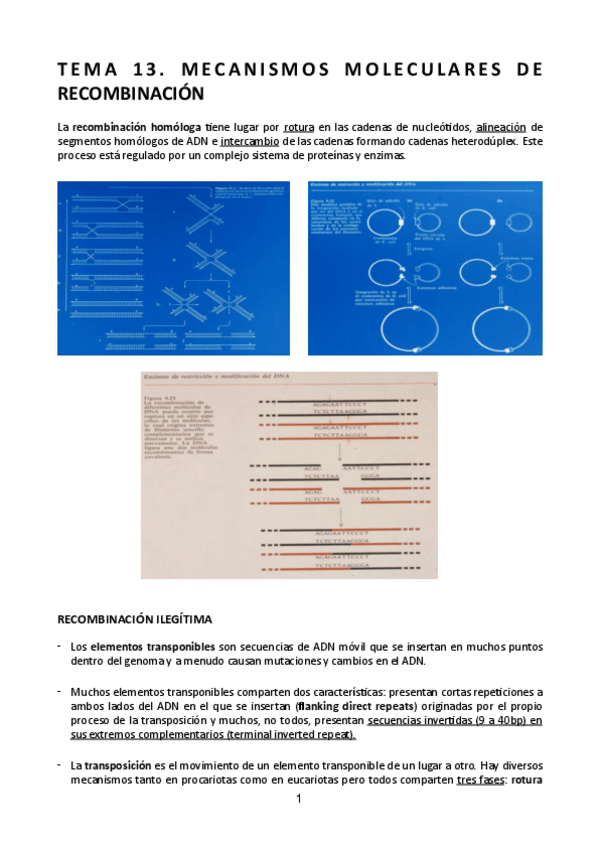 Miniatura del documento Tema-13.pdf