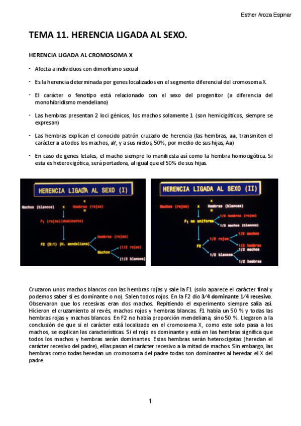 Miniatura del documento Tema-11.pdf