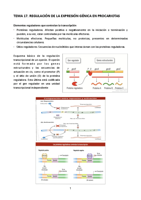 Miniatura del documento Tema-17.pdf