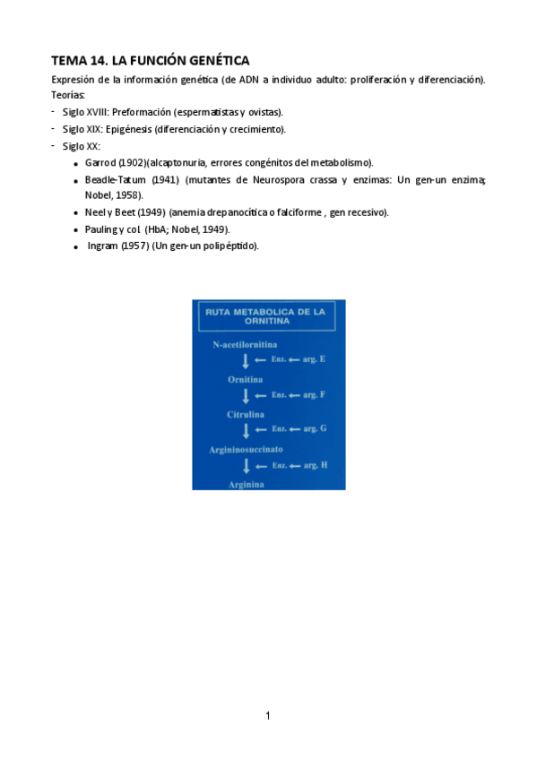 Miniatura del documento Tema-14.pdf