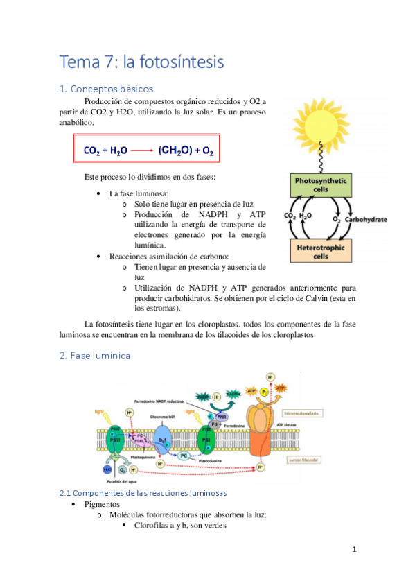 Miniatura del documento Tema-7.pdf