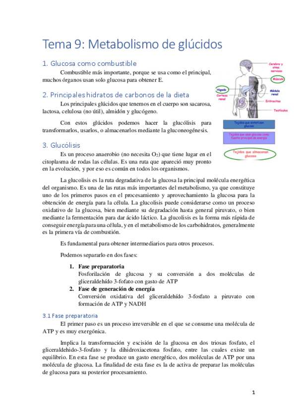 Miniatura del documento Tema-9.pdf