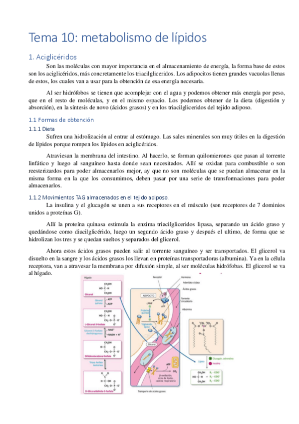 Miniatura del documento Tema-10.pdf