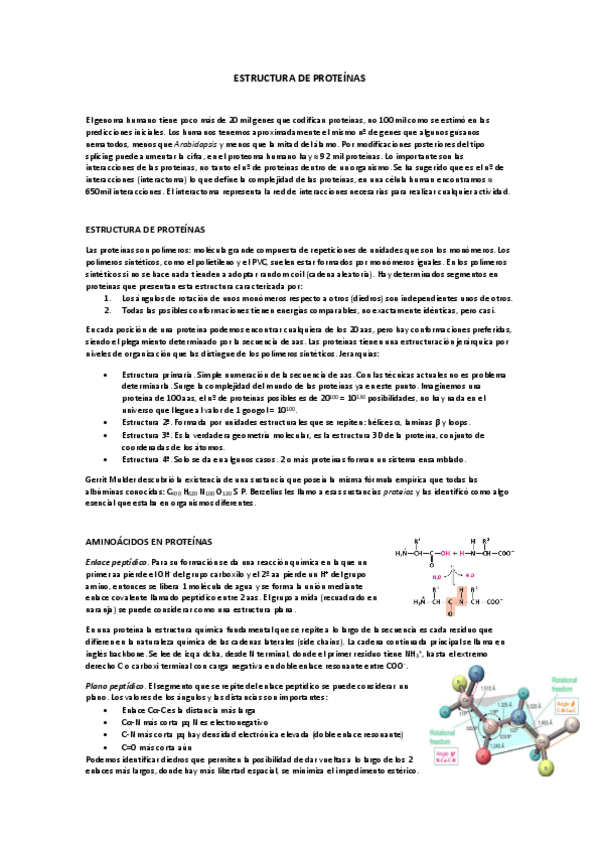 Miniatura del documento 2-ESTRUCTURA-DE-PROTEINAS.pdf