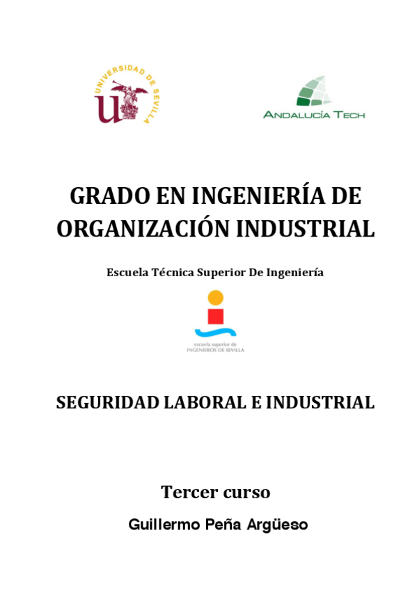 Miniatura del documento Apuntes-Seguridad-Limpio.pdf
