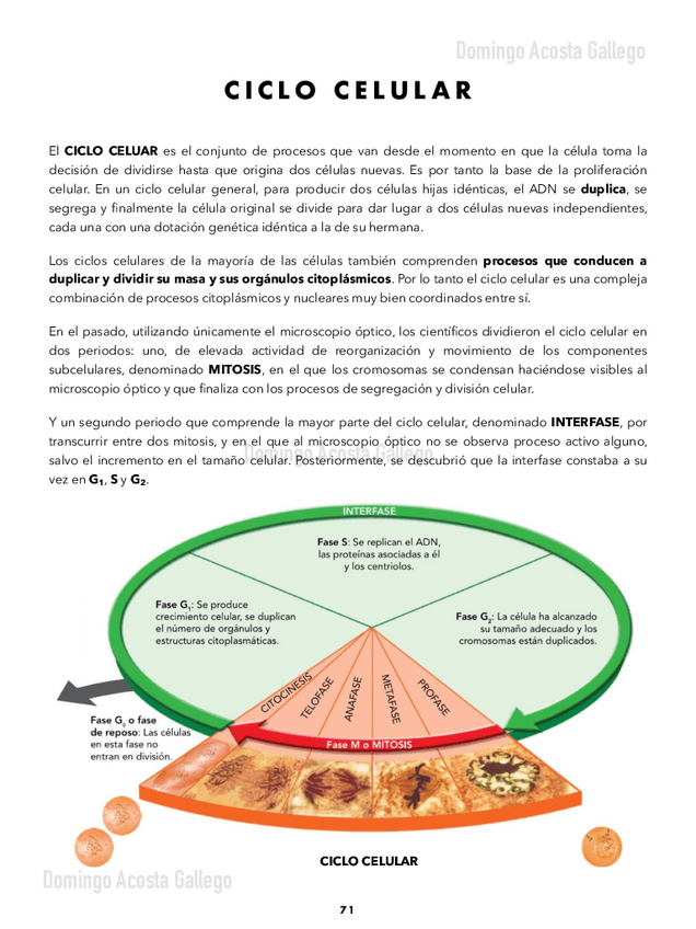 Miniatura del documento Ciclo-Celular-y-Apoptosis-.pdf