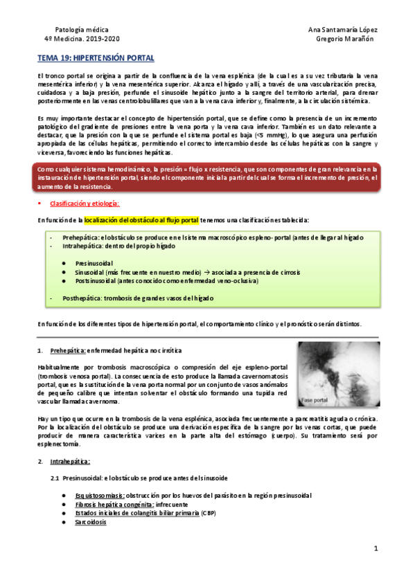 Miniatura del documento Tema-19-Hipertension-portal.pdf