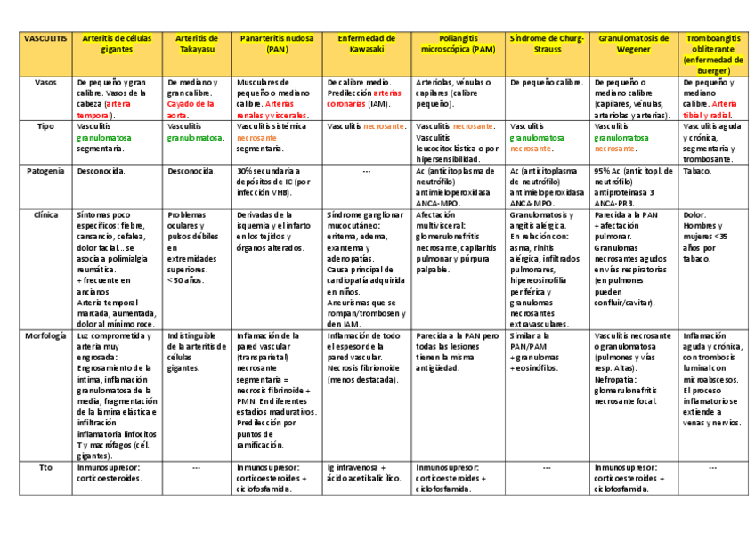 Miniatura del documento VASCULITIS.pdf